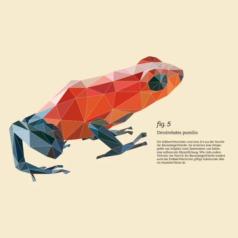 fig5_polygonpfeilgiftfrosch