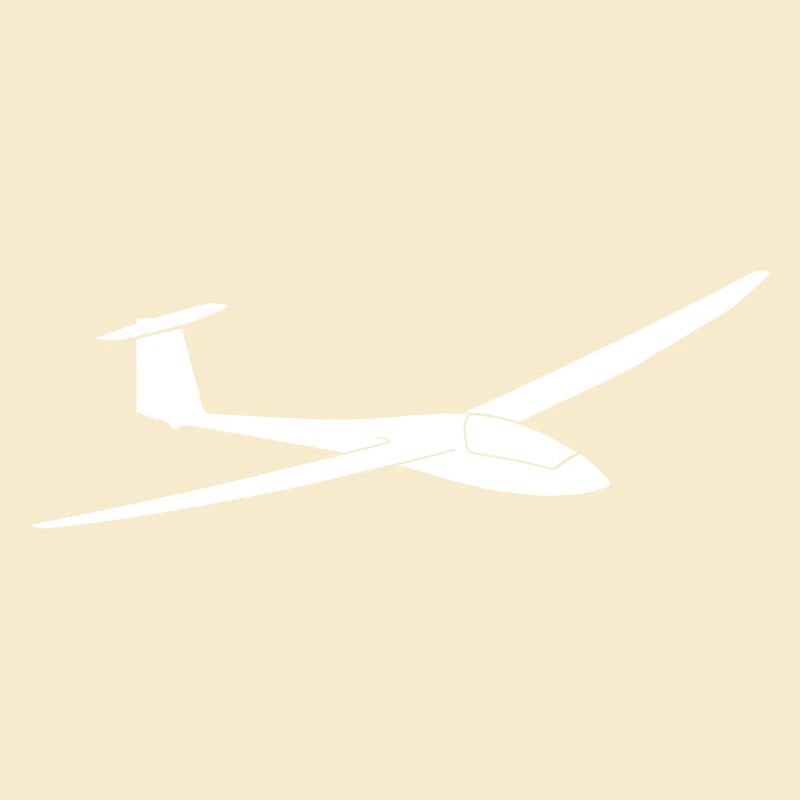 Discus b glider glider glider gliding pilot