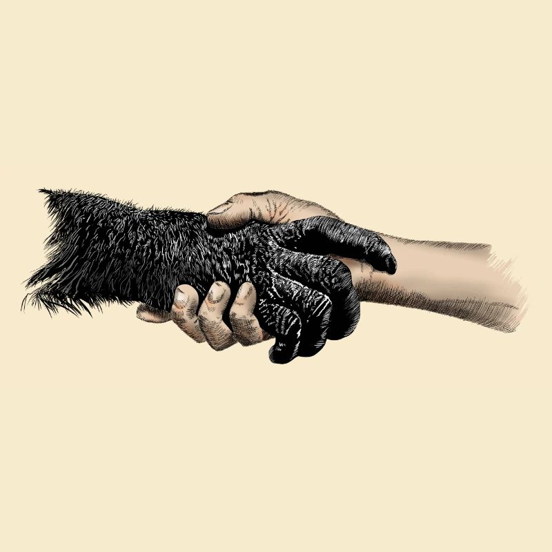 Hands