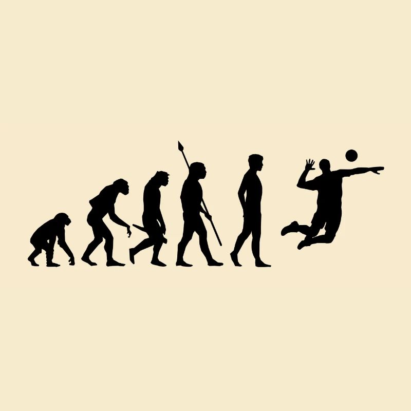 Volleyball Beachvolleyball Evolution