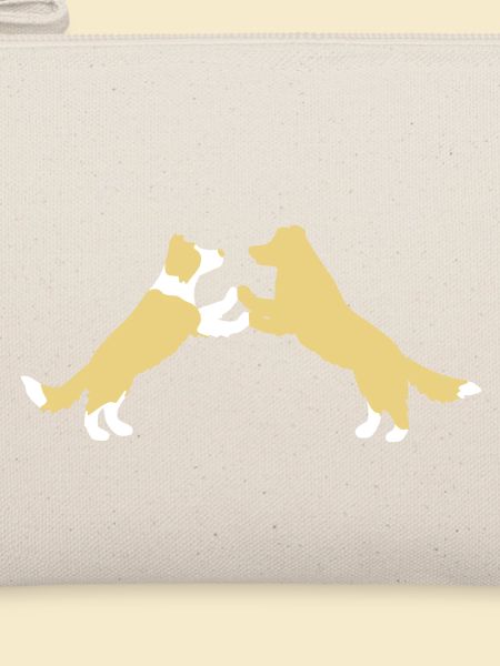 dog dancing Border Collies