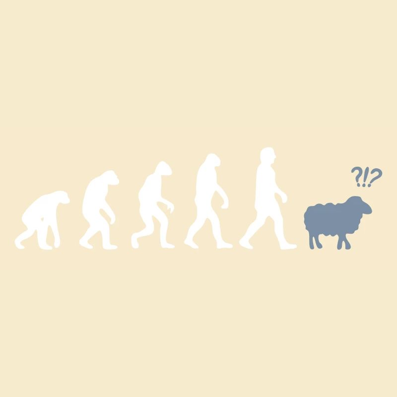 evolution mouton