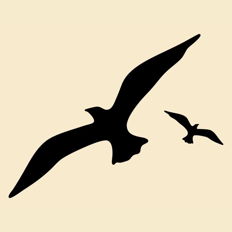 Möwe