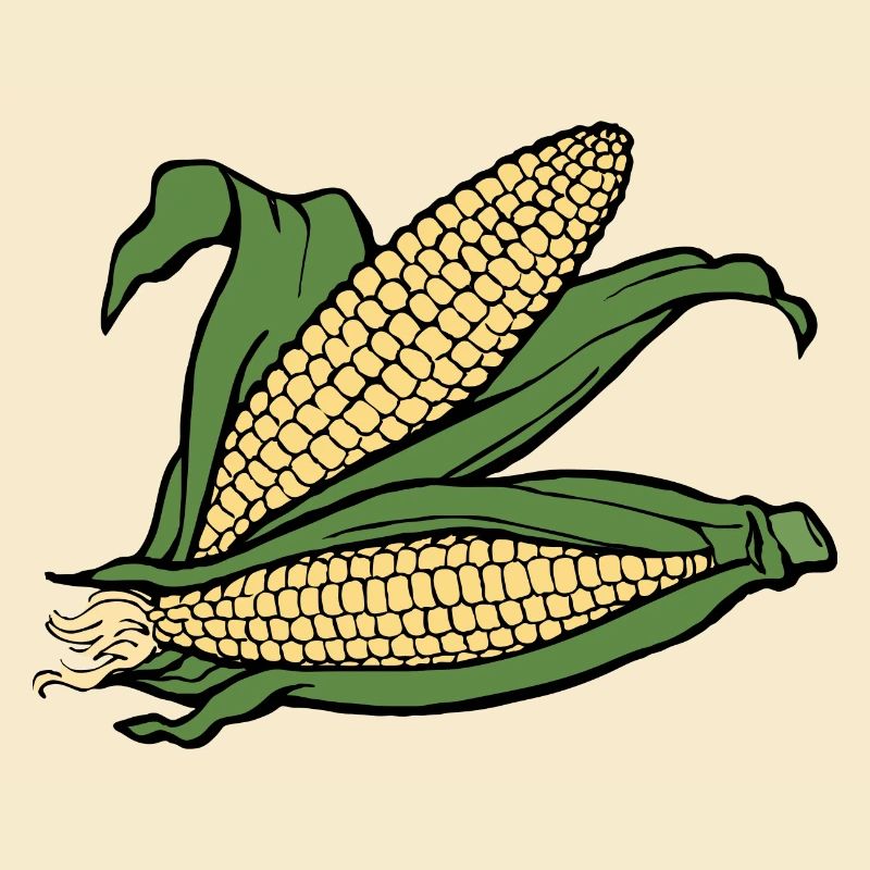 mais corn maize getreide veggie gemuese vegetables