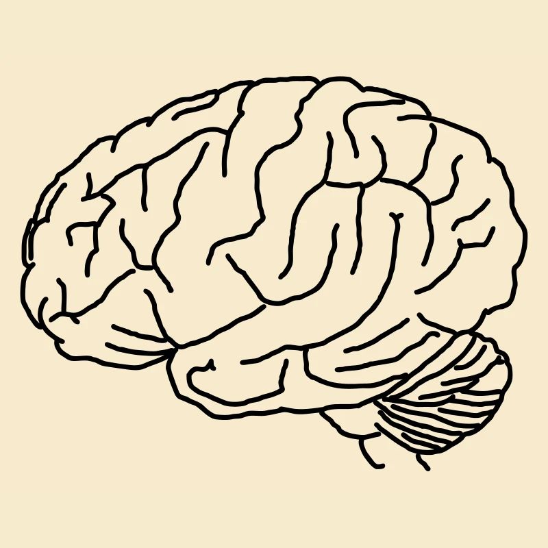 Brain