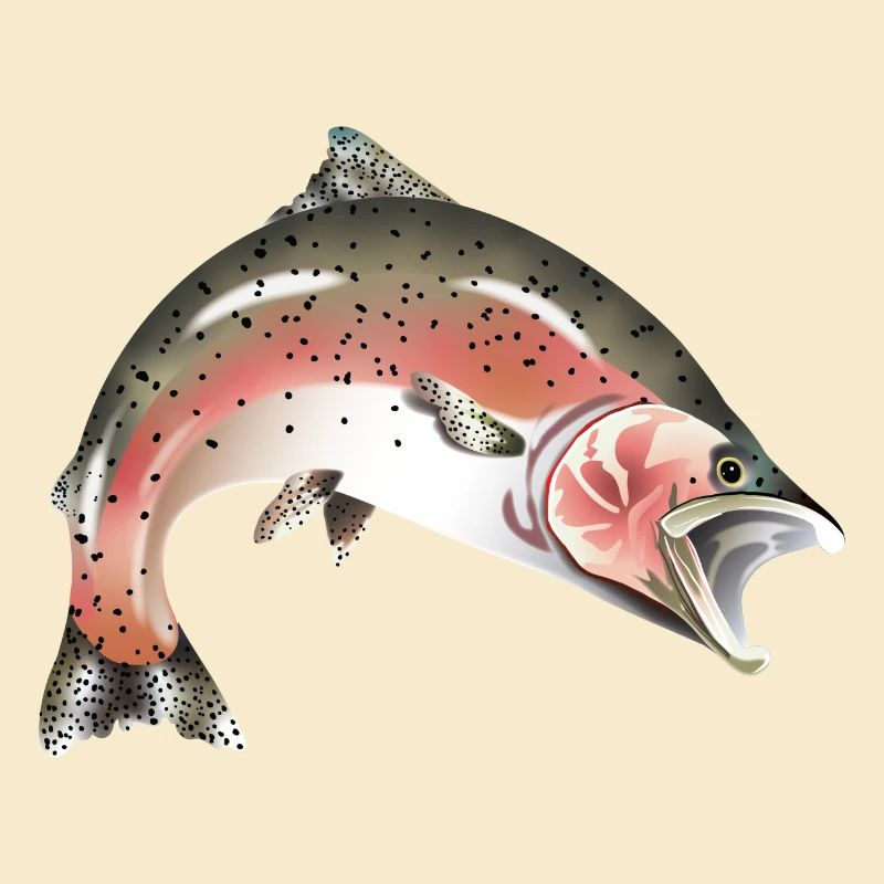 Lachs Forelle Fisch