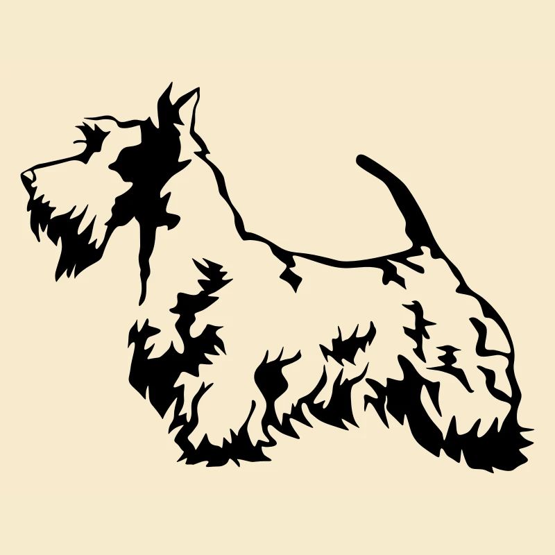 Terrier écossais