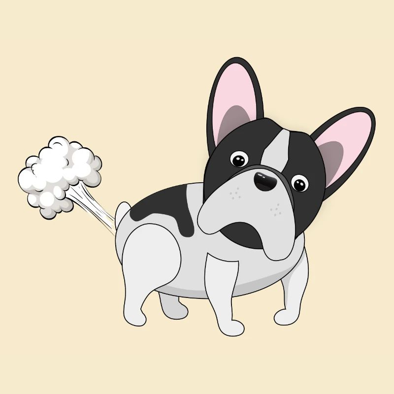 Bully pète - Bouledogue français