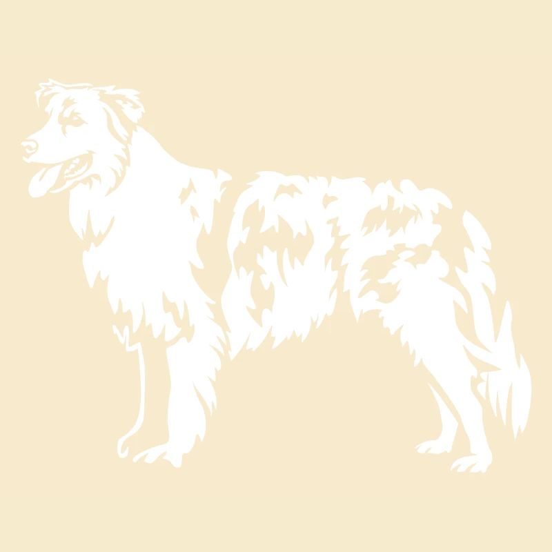 Australian Shepherd "Black Edition"