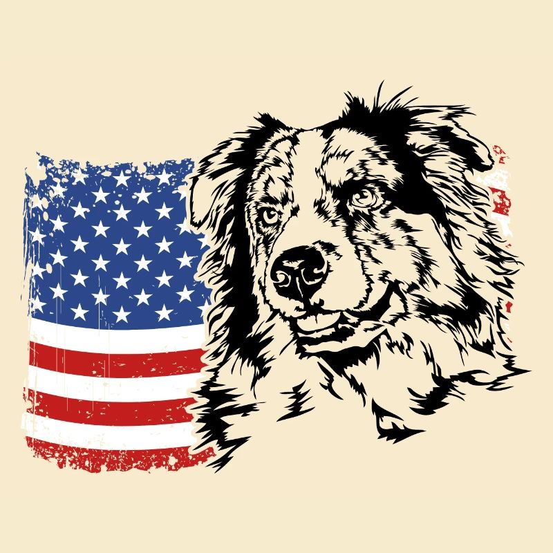 BERGER AUSTRALIEN Amérique Drapeau Aussie Wilsigns