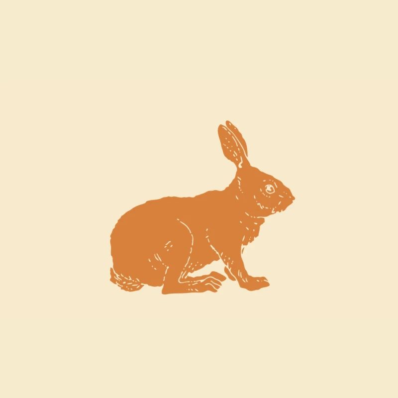 Hase