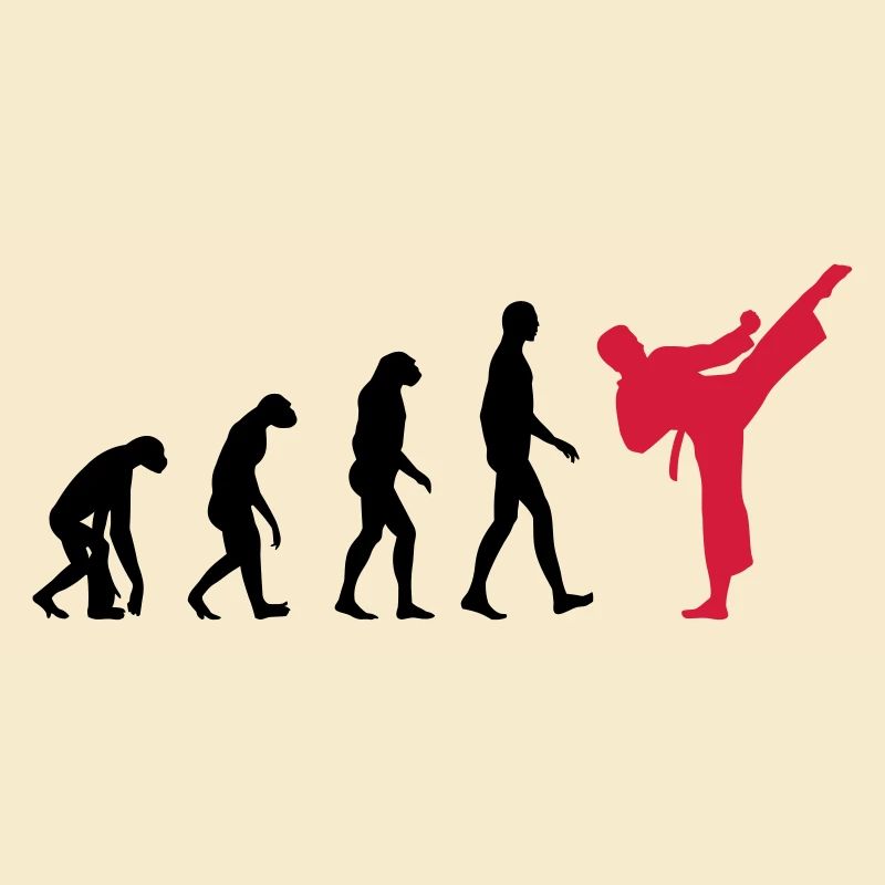 Karate - Evolution
