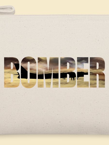 Bomber Tu-95