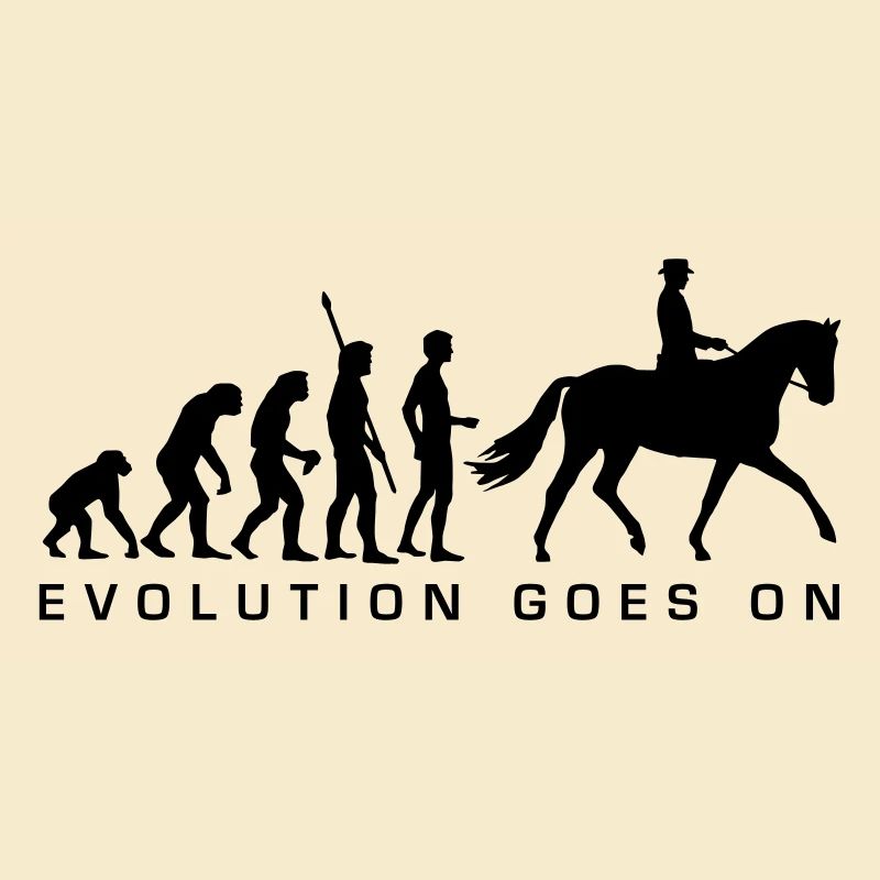 evolution_reiter_b