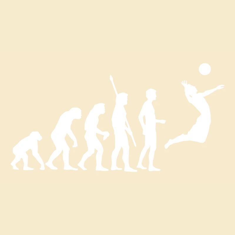 evolution_volleyball_1c