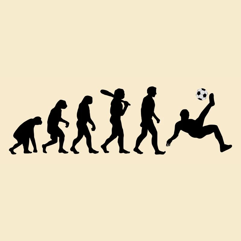 Evolution Fussball