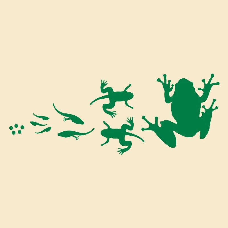 évolution-grenouille