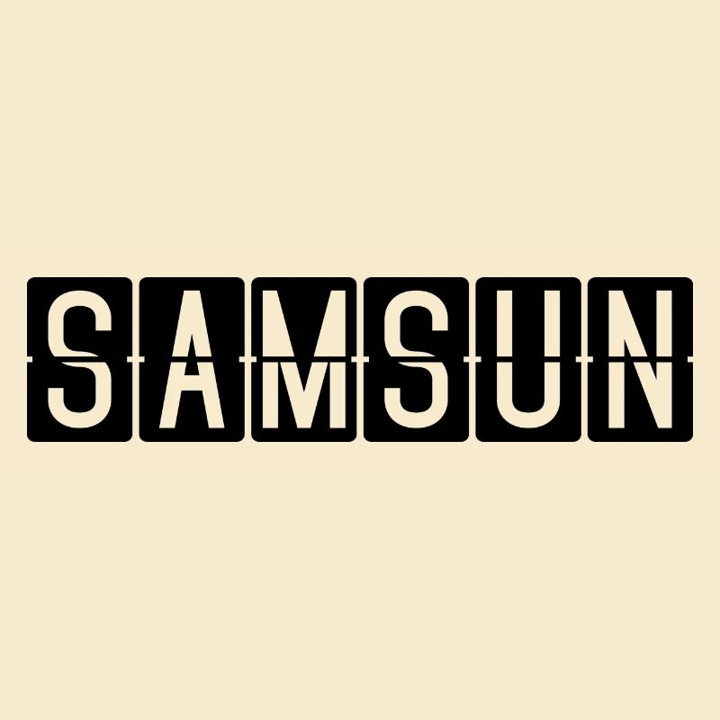 Conseil d’administration de l’aéroport de Samsun