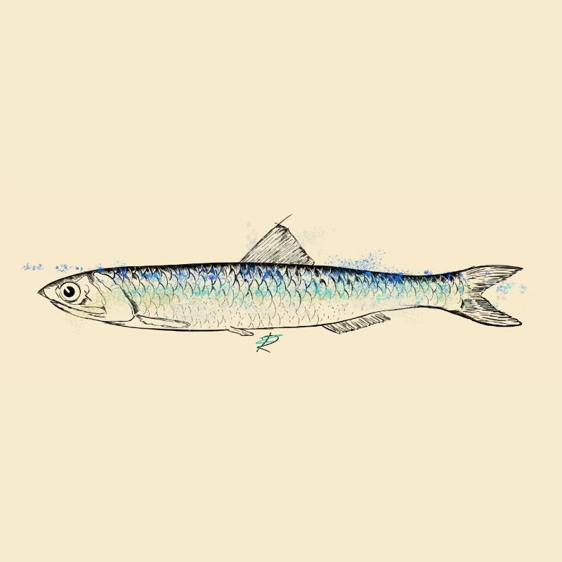 Sardellenfarbe