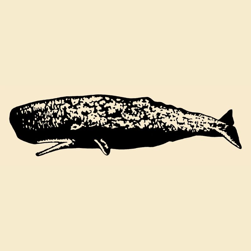 Cachalot