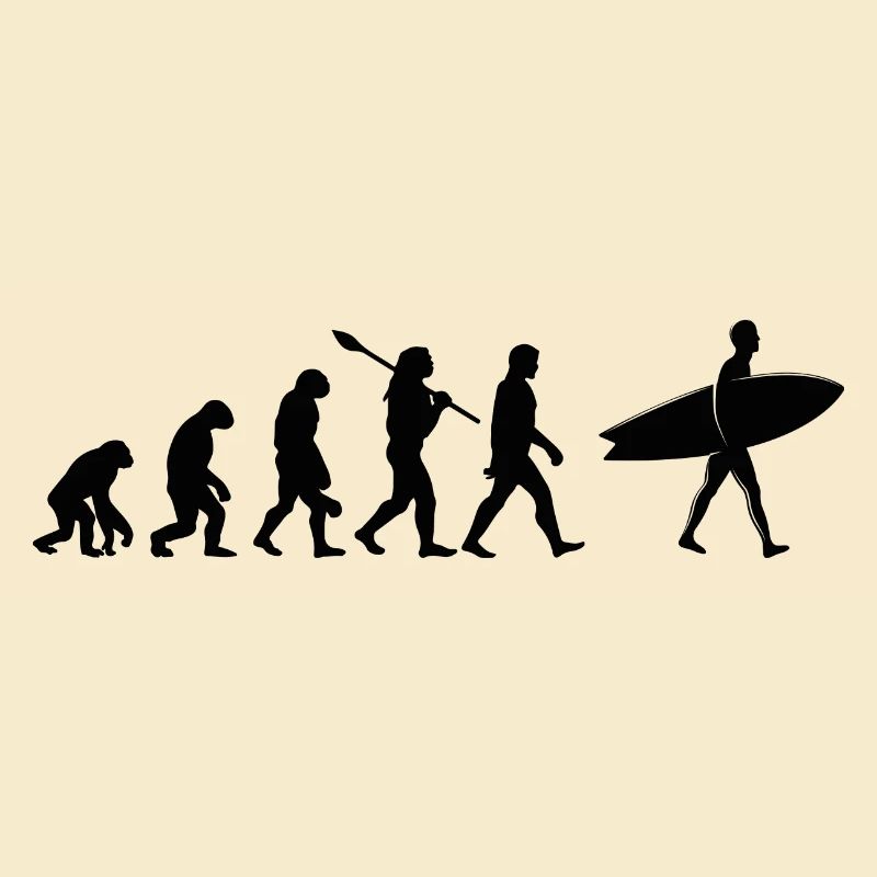 Surfen Evolution