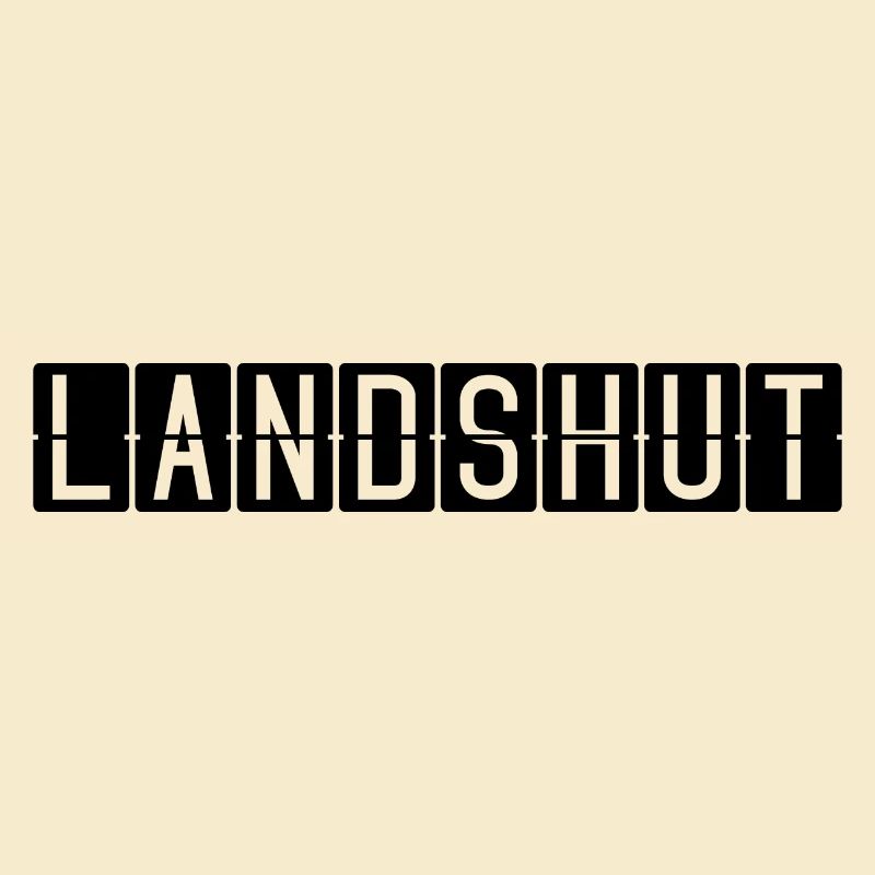 Landshut Flughafentafel