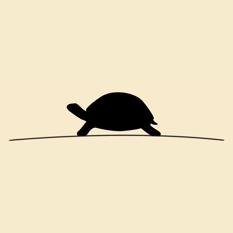 Silhouette de la Tortue