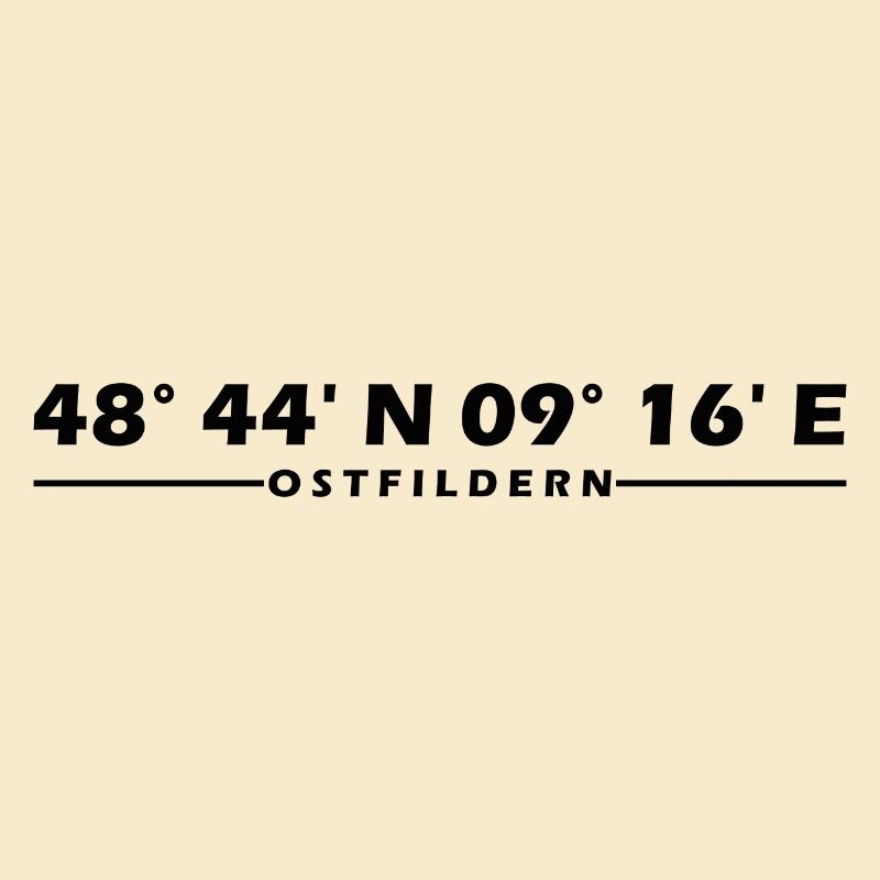 Coordonnées d’Ostfildern