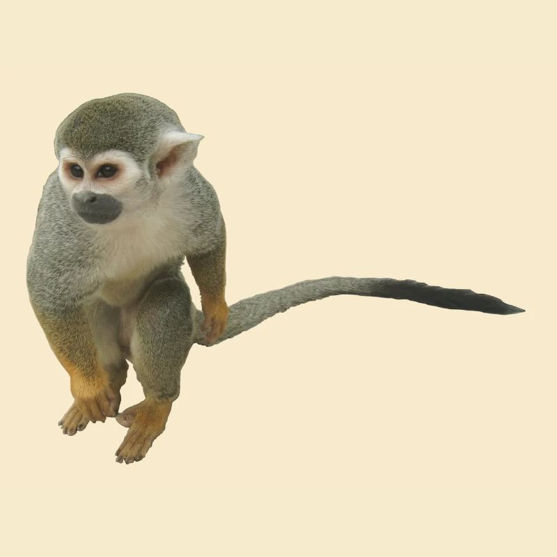 Affe