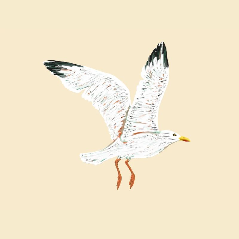 fliegende moewe vogel