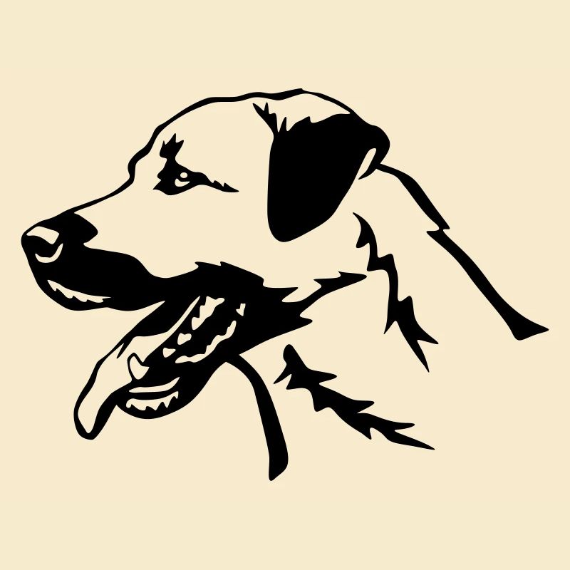 Kangal head