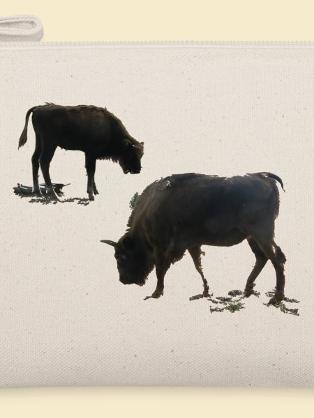 Wisent mit Jungtier