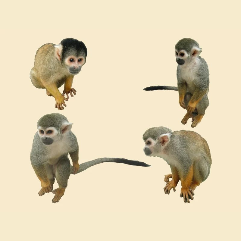 Singes