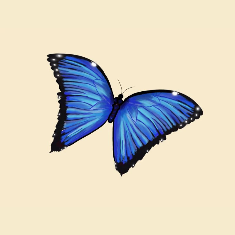 Papillon BleuAmour