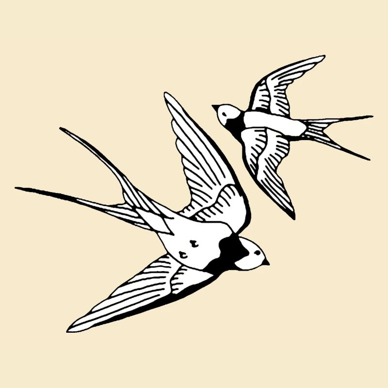 Vögel