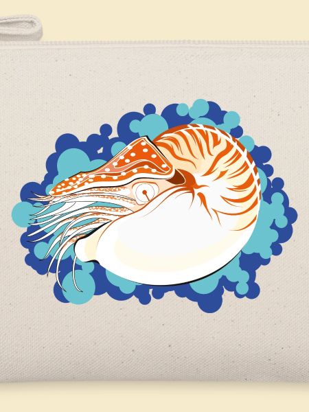 Nautilus Pompilius – Retro-Marinekunst