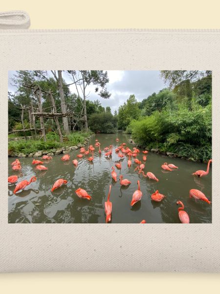 Flamingos im Sumpf