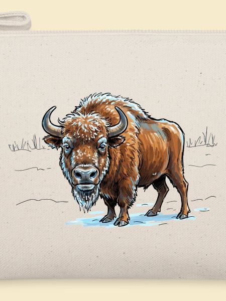 Wisent im Eisfeld