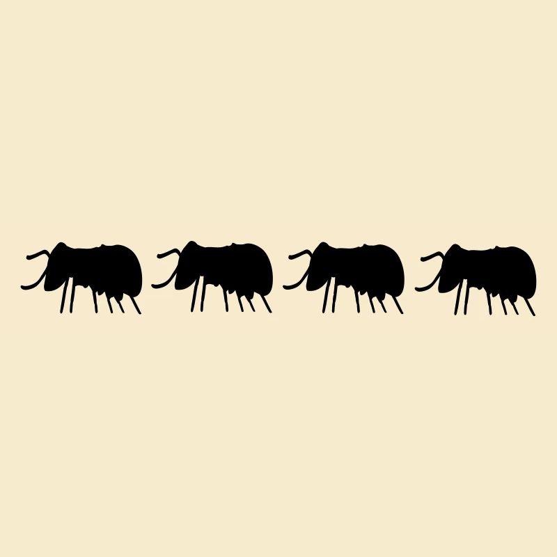 Beetles Bugs