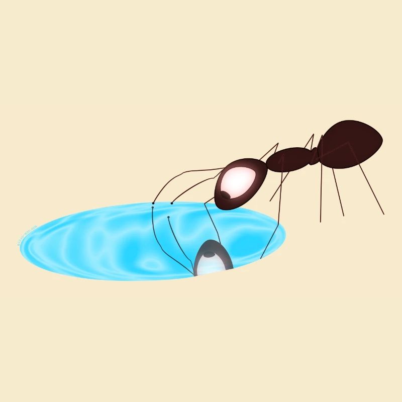 Ant
