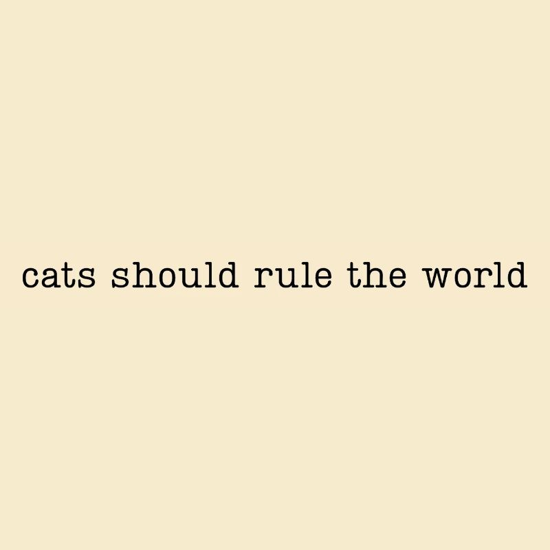 Les chats devraient dominer le monde