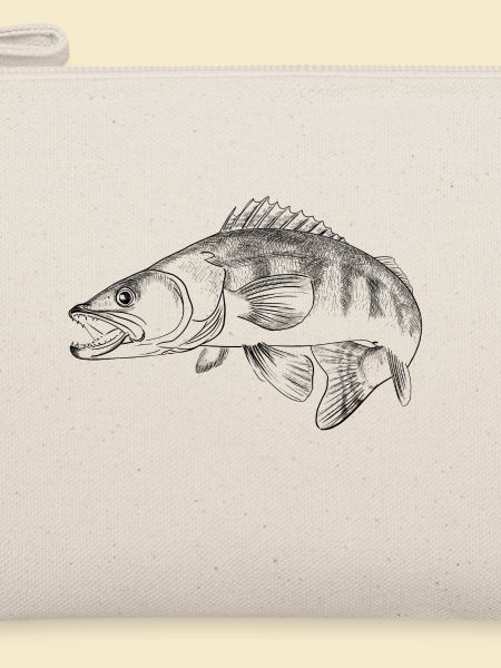 pike-perch