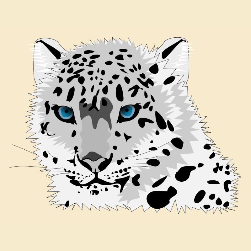 Schneeleopard
