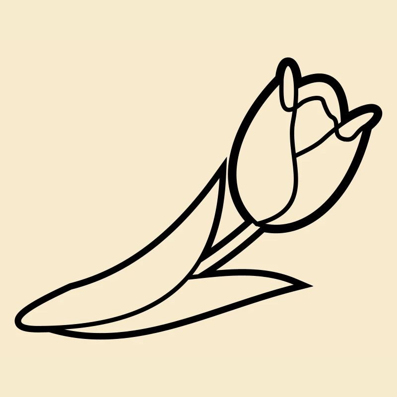 Blumen: Tulpe