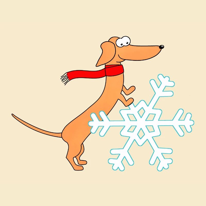 Dackel, Schneestern, Winter