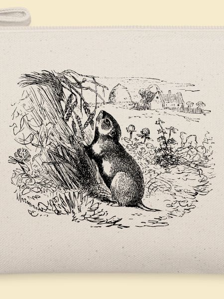 Feld Hamster