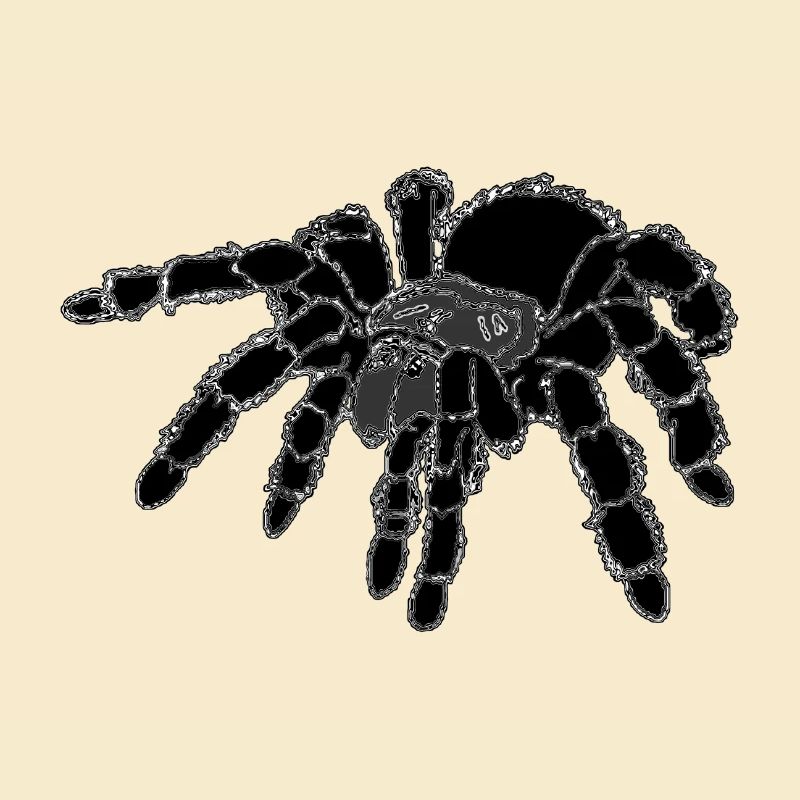 Tarantel, Spinne, große Spinne , schwarz