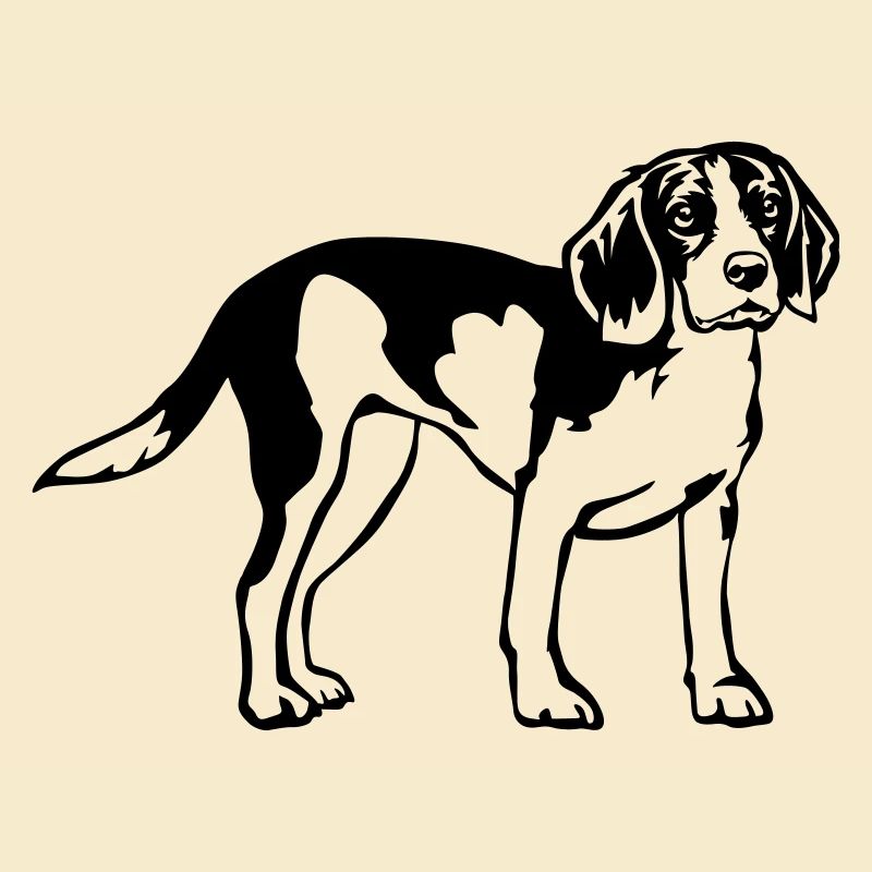 Beagle