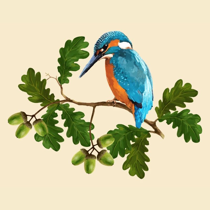 Oiseau coloré
