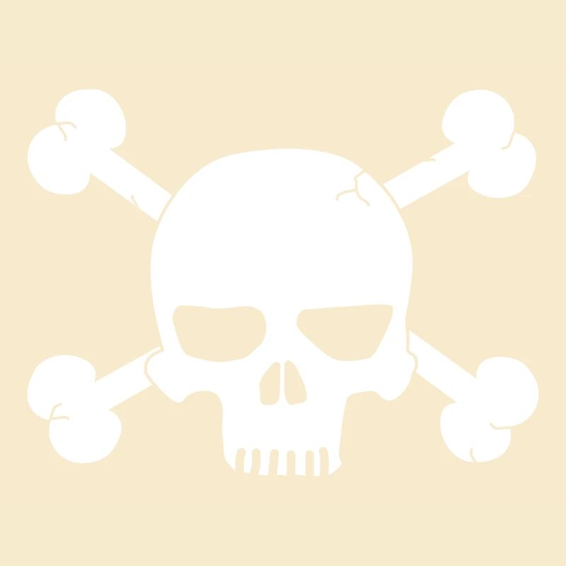 skull with bones / pirate